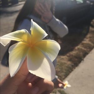 Meet your Posher, Joe